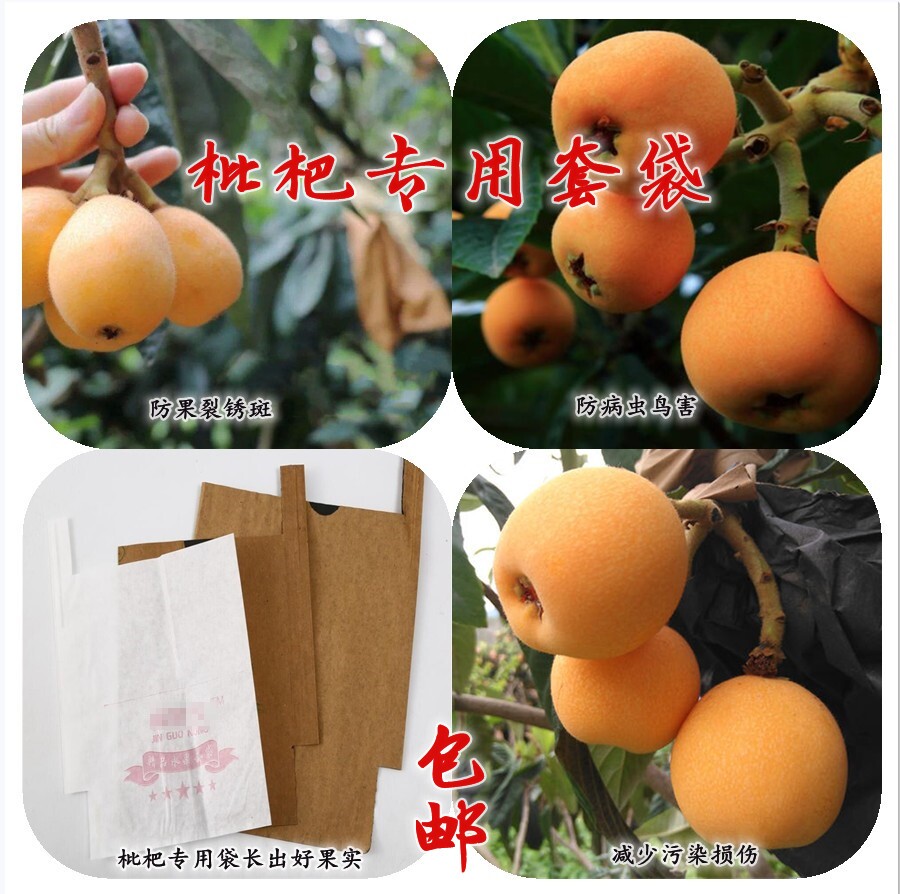 枇杷佳珠水果套袋保护袋果袋图片