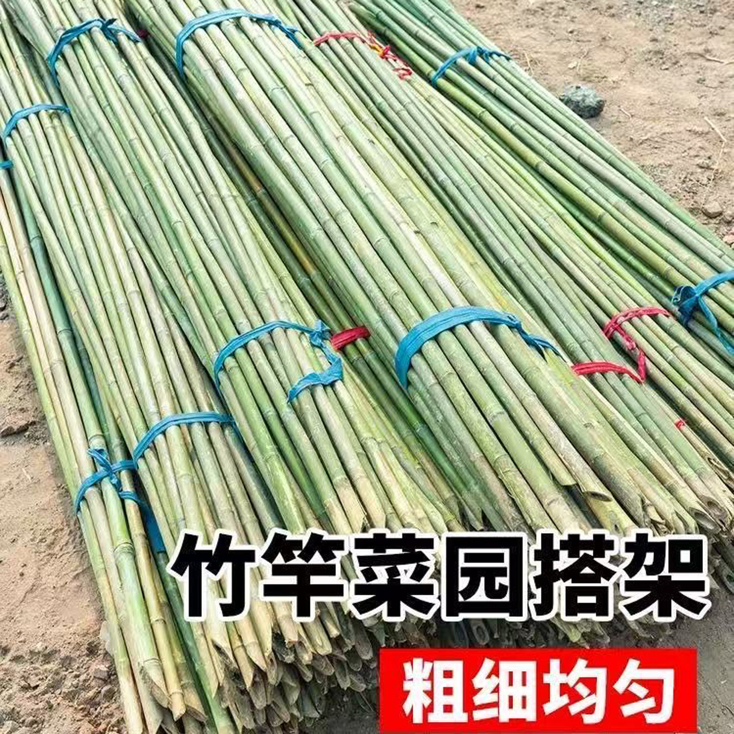 加厚韧性强竹竿园艺搭架支撑