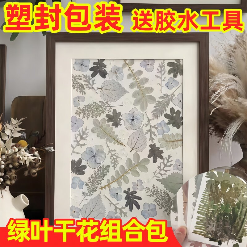 开学季礼物植物标本天然真干花树叶diy材料压花相框书签台灯滴胶