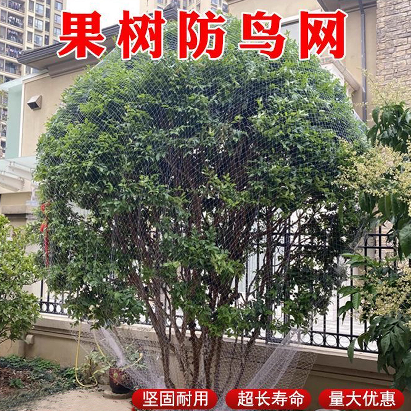 农用尼龙拦鸟网樱桃葡萄防鸟