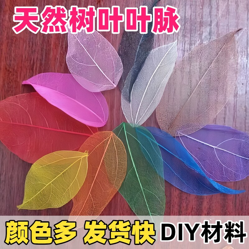 彩色网状树叶金刚叶叶脉手工diy书签贴画配件手机壳手工材料配件