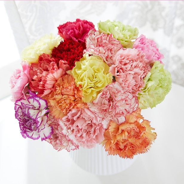 同城速递助农水养鲜花康乃馨花束云南昆明基地直发香水百合玫瑰|msdalam kategori penghantaran bunga/bunga simulasi/tumbuhan berkebun, penghantaran bunga (bandar) - dari Buy2taobao.com untuk memberikan perkhidmatan ejen Taobao profesional membeli