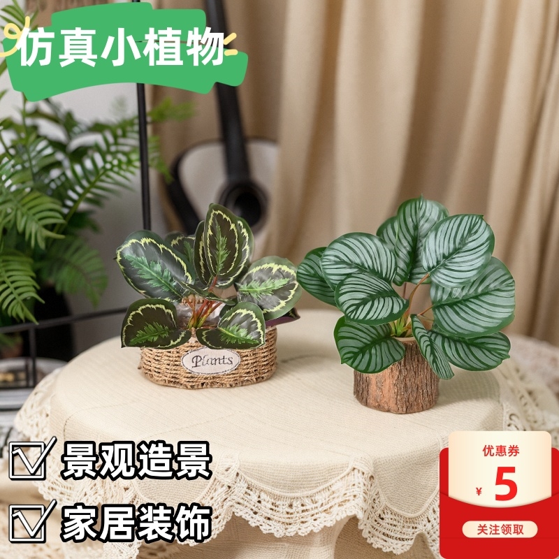 仿真小绿植叶苹果龟背叶室内外造景软装假植物假花植物墙装饰