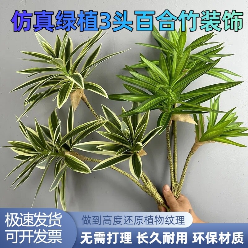 仿真绿植3头百合竹装饰富贵竹巴西木热带假植物文竹过胶竹子叶子
