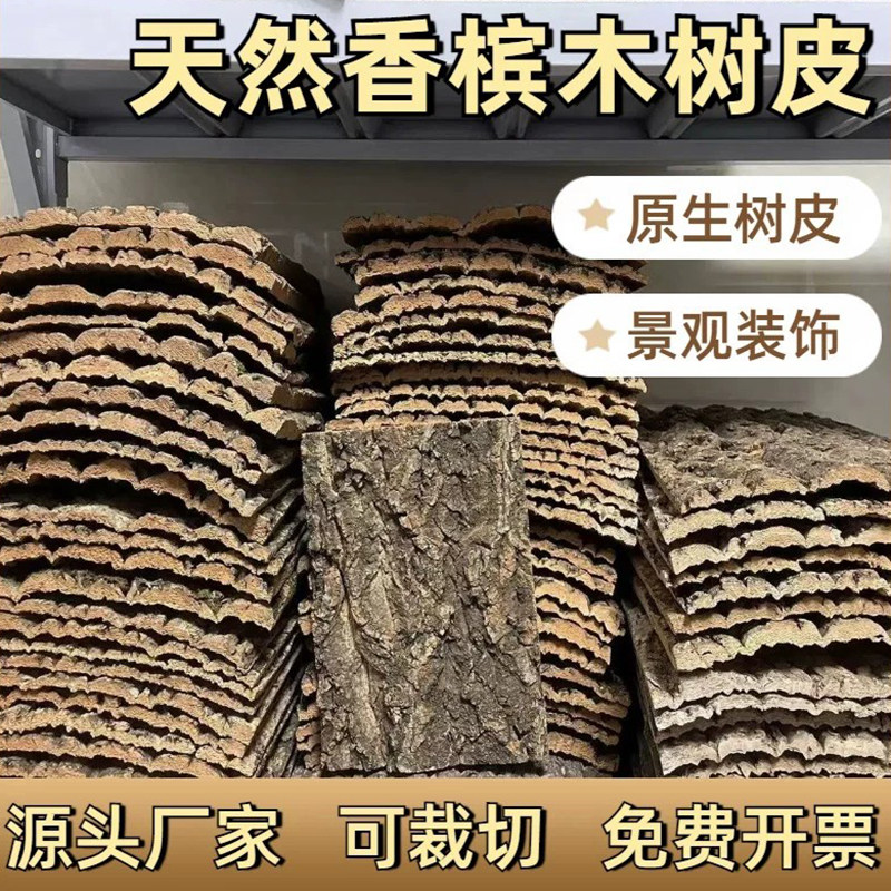 天然软木树皮香槟爬宠鱼缸造景