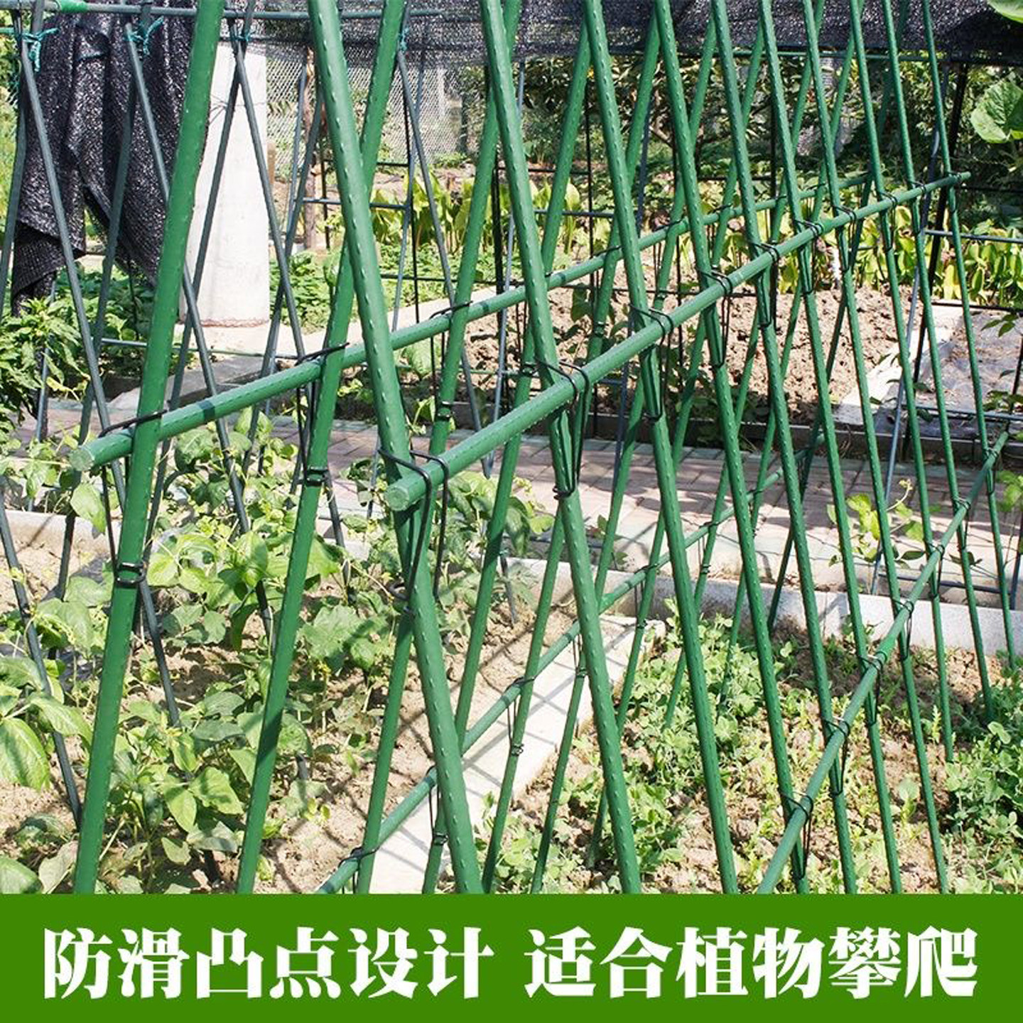 加厚包塑钢管爬藤架防倒伏图片