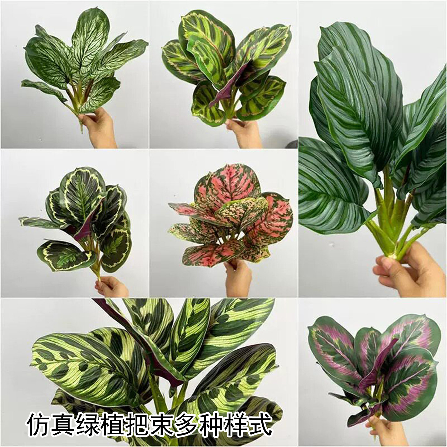 过胶12头芋头叶孔雀竹芋仿真叶