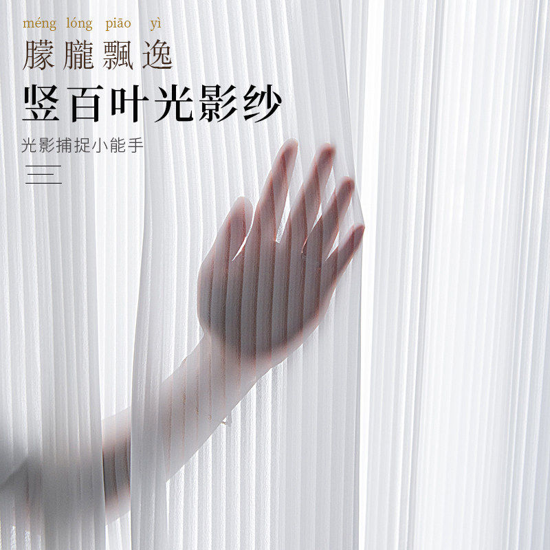 2025新款梦幻窗帘竖百叶纱帘卧室透光不透人窗纱白色阳台客厅定制
