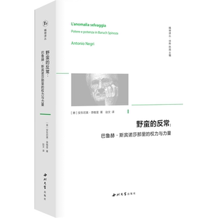 野蛮的反常:巴鲁赫·斯宾诺莎那里的权力与力量 西北大学出版社 (意)安东尼奥·奈格里 著 赵文 译