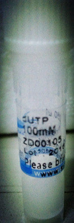 dUTP  250ul(100mM)  脱氧核糖核苷酸dNTPs  dATP dCTP dGTP dTTP