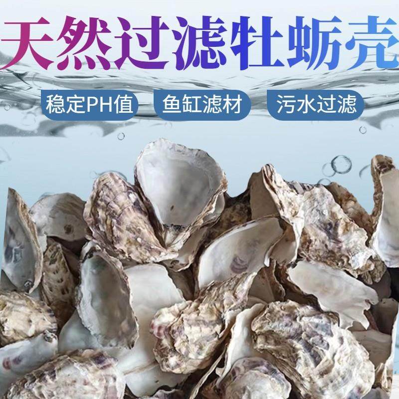 生蚝壳滤材鱼池过滤材料牡蛎壳天然海蛎壳装饰鱼缸生化底滤缸贝壳,宠物/宠物食品及用品,过滤材料,淘宝优惠券,粉丝福利购,淘宝优惠卷