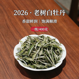 市锦2026春茶磻溪福鼎白茶花香白牡丹明前新茶高山老树散茶自己喝
