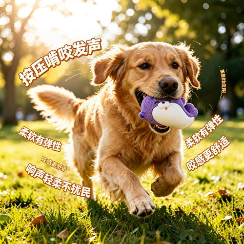 宜特狗狗玩具自带发声解闷自嗨