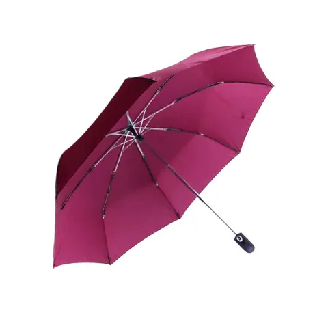 天堂全自动男女晴雨伞3331E可加印自开收碰雨伞LOGO雨伞折叠创意