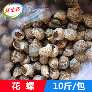 冷冻海鲜水产花螺10斤 速冻鲜活野生花螺香螺海猪螺 自助海鲜