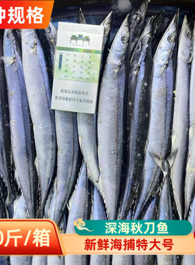 深海秋刀鱼特大号商用