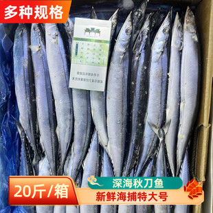 深海秋刀鱼20斤新鲜海捕特大号鲜活冷冻日式料理烧烤海鲜水产商用