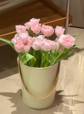 醒花桶深水家用高颜值ins手提水桶简约收纳桶鲜花插花装饰花店桶