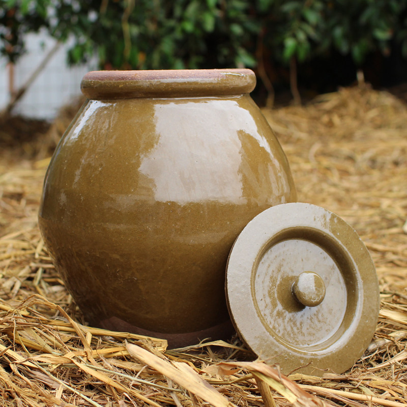 油坛腌菜缸陶瓷加厚厨房家用泡菜缸油坛子土陶老实酒坛猪油罐带盖