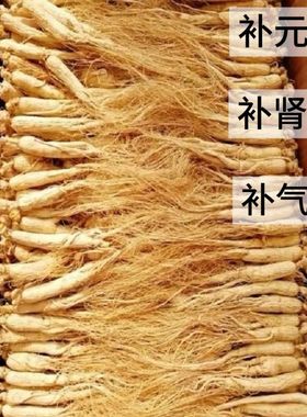 长白山50根人参小人参干参老人参白参生晒参煲汤材料泡水泡酒滋补