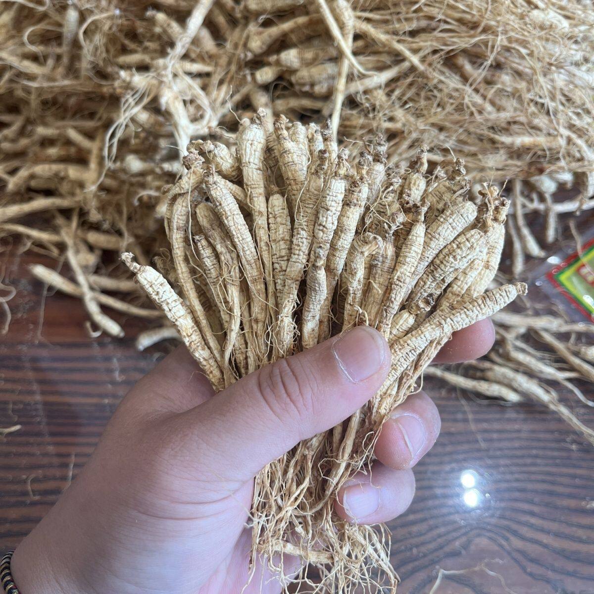 长白山小干参无硫5克生晒参白参东北人参干货食用农产品吉林特产