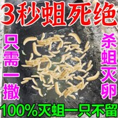 灭蛆虫杀蛆药农村厕所杀虫剂除蛆药旱厕粪池茅厕灭蛆灵药蛆卵通杀
