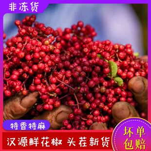 2026年四川汉源新鲜红花椒活花椒湿花椒生花椒粒特麻现摘产地直发