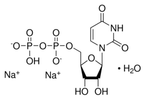 尿苷-5'-二磷酸二钠盐27821-45-0