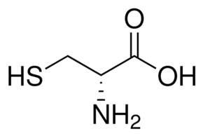 921 Cysteine Cas号 半胱氨酸  D 98%
