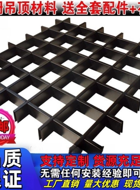 格栅吊顶天花材料简易自装 铝格栅吊顶 网格吊顶黑色葡萄架铁格栅