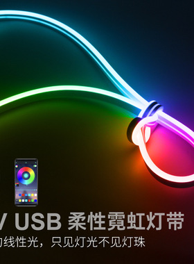 5V亚马逊跨境爆款幻彩RGBIC硅胶usb柔性霓虹灯带24V防水流水全彩