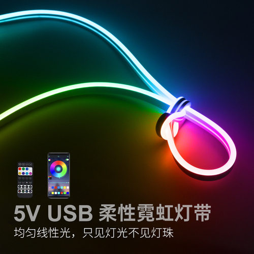 5V亚马逊跨境爆款幻彩RGBIC硅胶usb柔性霓虹灯带24V防水流水全彩