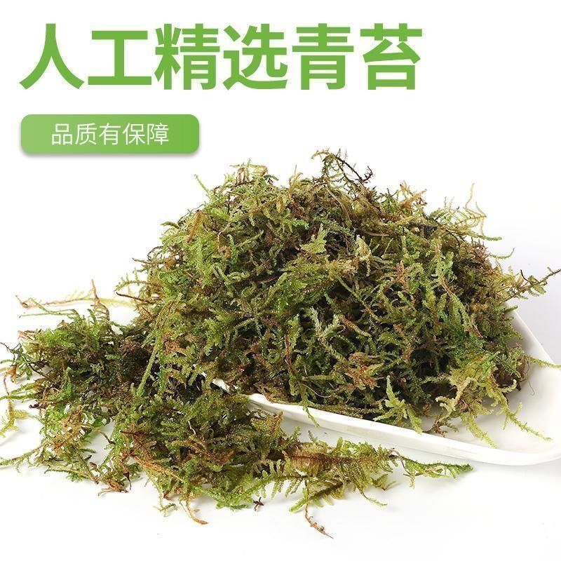 青苔水苔干苔藓兰花土蝴蝶兰石斛兰专用土天然营养土乌龟爬宠垫材