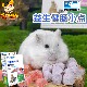 兔博士益生菌健肠小点兔子仓鼠零食龙猫荷兰猪豚鼠西施熊小零食