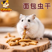 补充蛋白质 黄粉虫干 乌龟龙鱼仓鼠零食饲料 面包虫干30g 买5送1