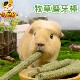 包邮 磨牙牧草棍龙猫荷兰猪兔子天竺鼠磨牙棒提摩西果树苜蓿草棒