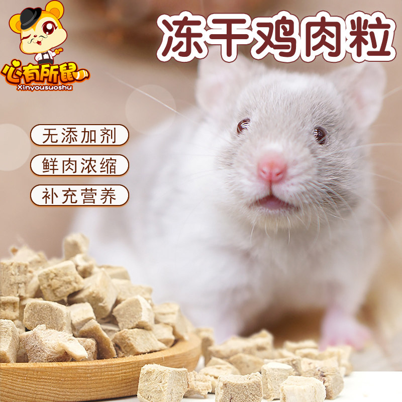 仓鼠冻干鸡肉粒冻干宠物粮食零食金丝熊营养粮食鸡胸肉干三文鱼肉,宠物/宠物食品及用品,鼠粮,淘宝优惠券,粉丝福利购,淘宝优惠卷