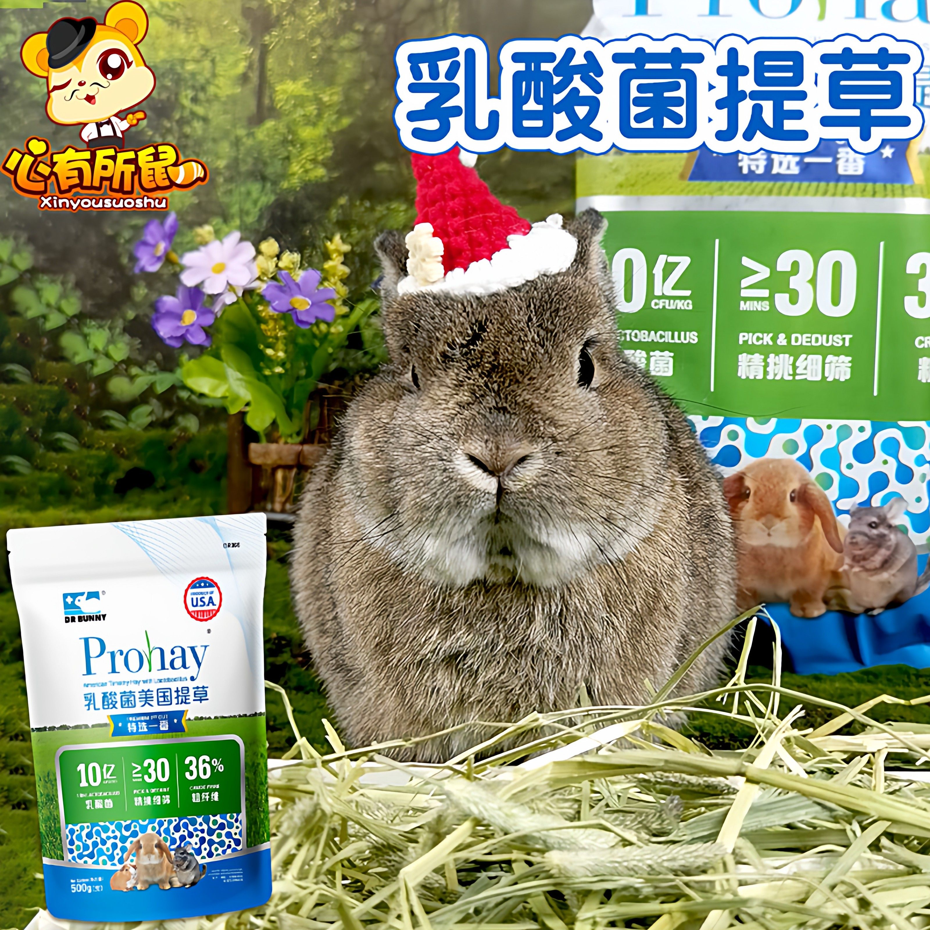 兔博士乳酸菌美国提草兔子龙猫豚鼠兔粮干草提摩西草荷兰猪饲草,宠物/宠物食品及用品,兔兔干草,淘宝优惠券,粉丝福利购,淘宝优惠卷