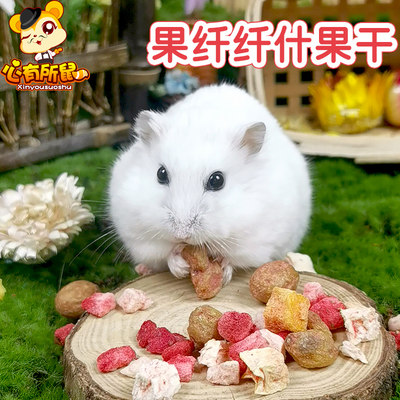 什锦水果干仓鼠零食兔子龙猫豚鼠