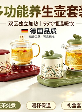 【德国品质】养生壶恒温烧水壶