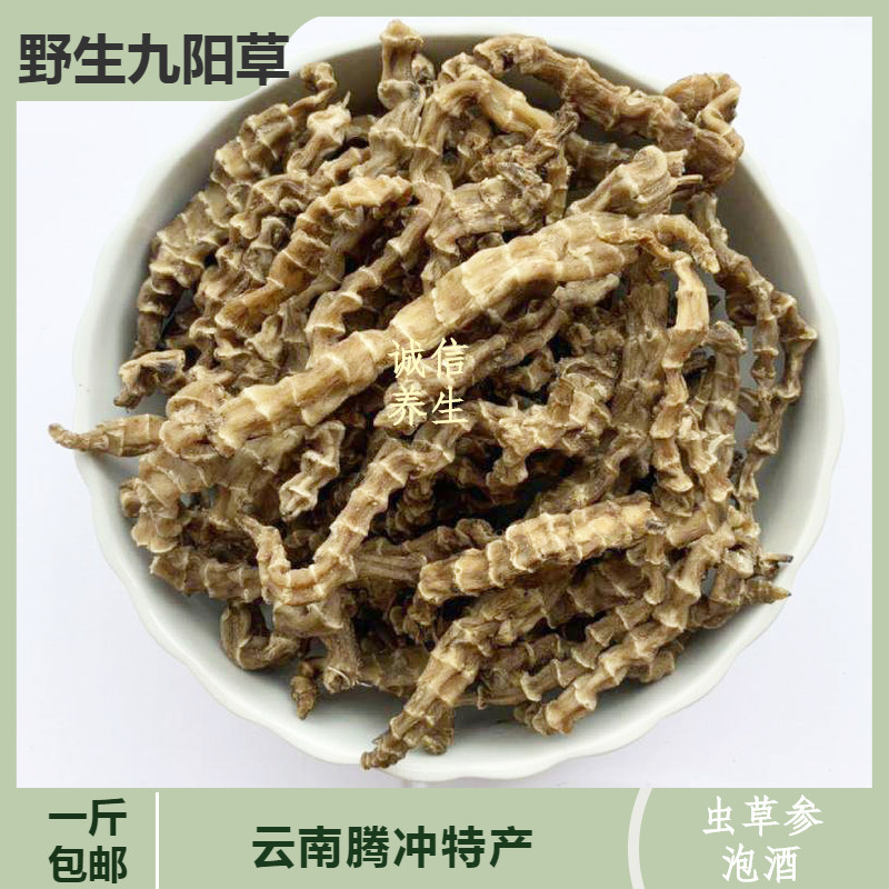 九阳草中药材 地参 云南腾冲特产虫草参竹节参干品500g包邮新货