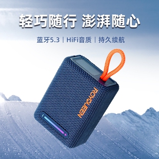 ROYQUEEN/朗琴 G31蓝牙音箱小型便携迷你户音响外重低音炮高音质