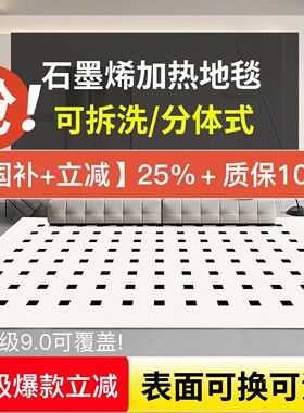 分体式石墨烯加热地毯客厅家用地
