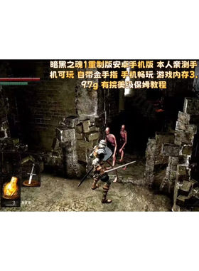 暗黑之魂1重制版安卓手机版 自带金手指 手机畅玩带教程