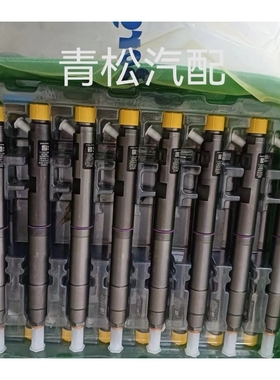 德尔福喷油器总成ED95长城28599713喷油器