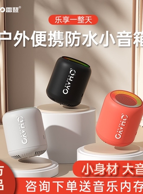 雷登XB10 蓝牙音箱无线迷你小型便携式超重低音炮高音质音响户外