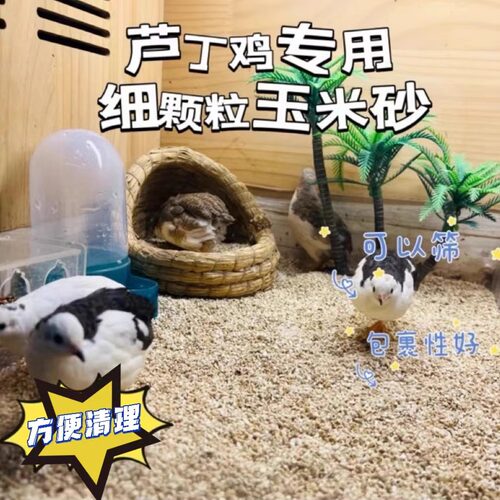 玉米砂芦丁鸡专用垫料小颗粒易清理 干净 - 封面