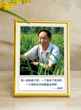 袁隆平名人名言画像相框摆件