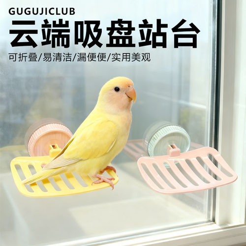 鹦鹉云端吸盘站台秋千玩具