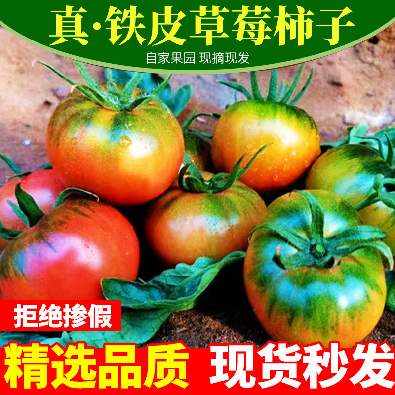 铁皮柿子草莓西红柿绿腚番茄水果西红柿无农药大豆肥种植现摘现发,水产肉类/新鲜蔬果/熟食,番茄,淘宝优惠券,粉丝福利购,淘宝优惠卷